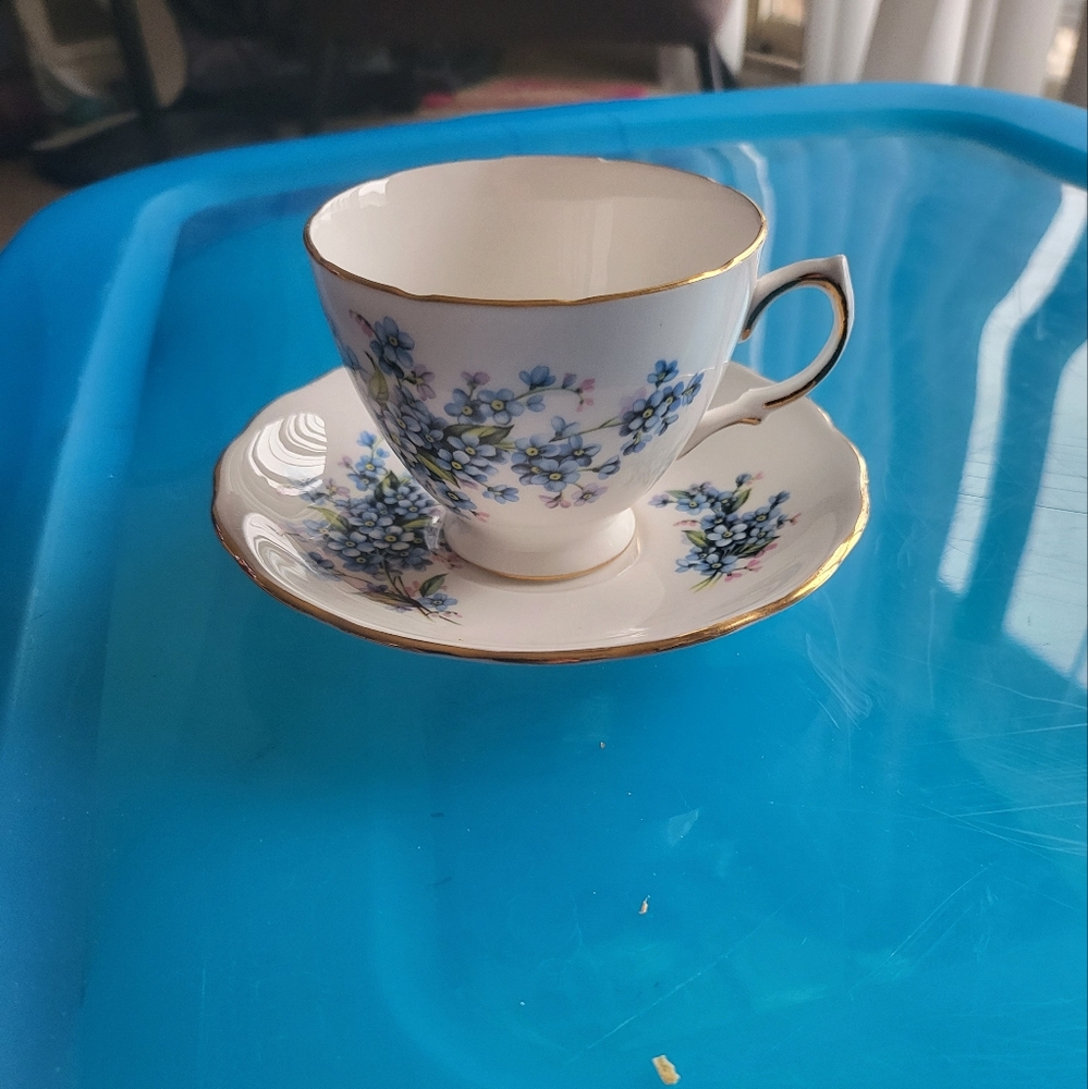 Royal vale bone China tea cup and saucer